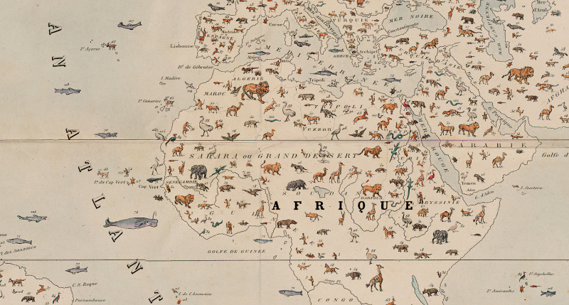 Perrot, Aristide-Michel (1793-1879), Cartographe – Planisphère zoologique carte de la distribution des animaux sur la surface de la Terre