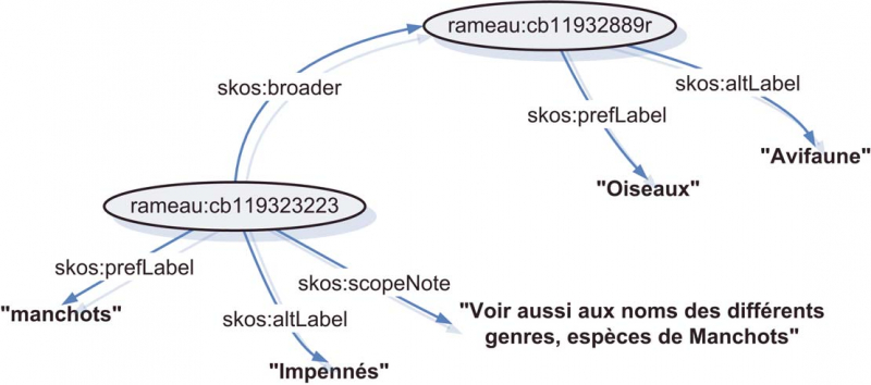 Deux concepts de Rameau représentés sous forme de graphe RDF/SKOS