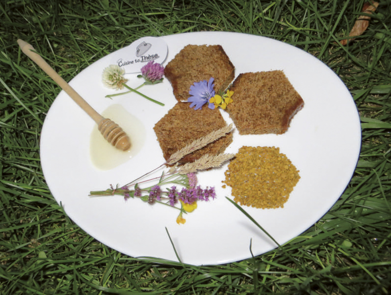 Une photo de Mélanie Piroux, retenue dans le cadre du concours « Cuisine ta thèse » proposé sur le site de PhDelirium.Pour illustrer le sujet de sa thèse Ressources pollinifères et mellifères de l’Abeille domestique, Apis mellifera, en paysage rural du nord-ouest de la France, Mélanie Piroux a concocté un dessert composé de pain d’épices en forme d’alvéoles (de cire d’abeilles), d’une alvéole de pelotes de pollen (ressources pollinifères) et de miel (ressources mellifères), de fleurs prairiales (présentes en paysage rural).