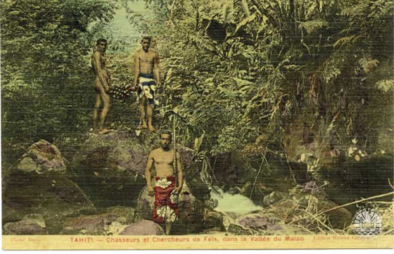Carte postale de Tahiti « chasseurs et chercheurs de Feïs, dans la vallée du Maiao ».