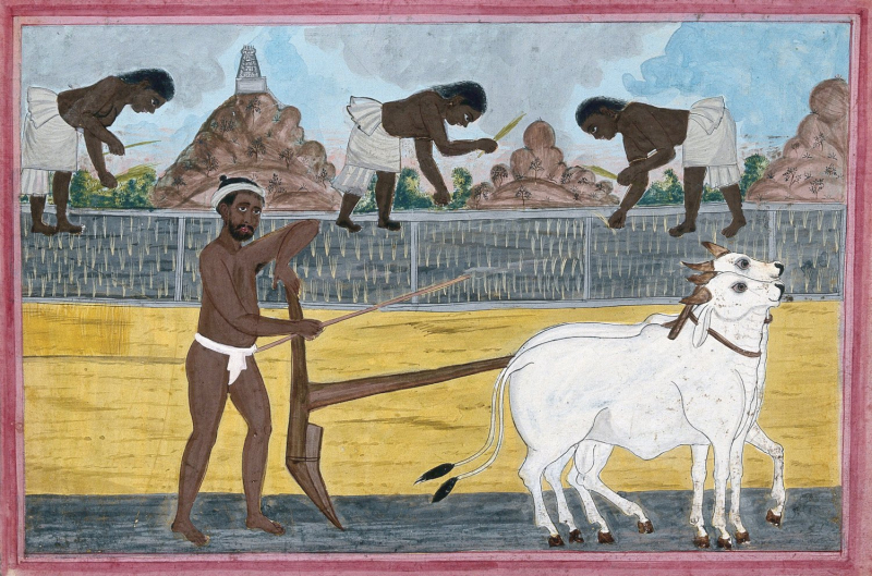 Laboureur, gouache attribuée à un artiste de Tanjore (Thanjavur) - Inde, ca. 1840
