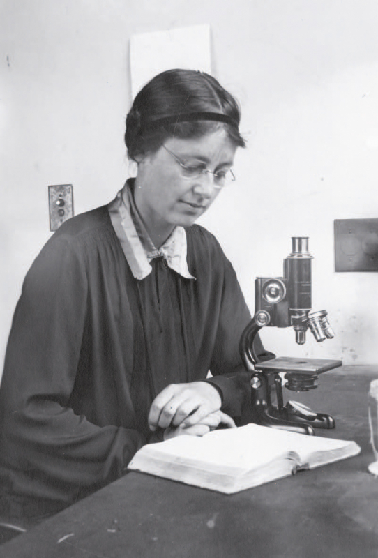 «  Développer des services au plus près des chercheurs » La botaniste britannique Kathleen Mary Drew‑Baker (1901‑1957)