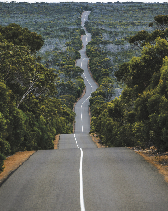 Road : une route de plus vers l’open access !