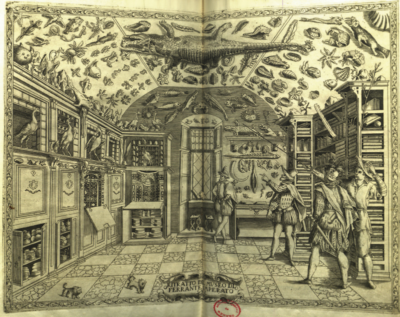 Cabinet de curiosité de Ferrante Imperato, 1672