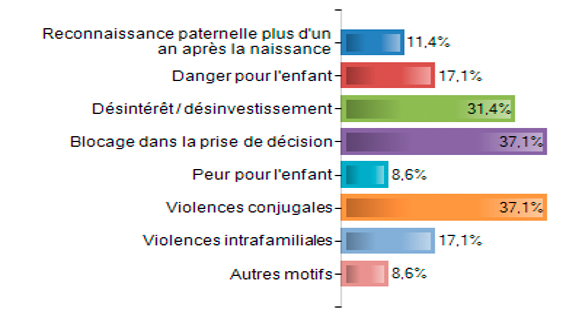 Figure 7. – Motivation du juge aux affaires familiales.