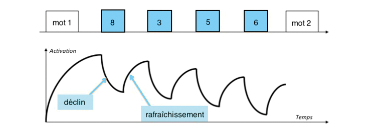 Illustration du niveau d’activation de la trace mnésique d’un mot au cours du temps lors d’une tâche d’empan complexe, selon le modèle TBRS (Barrouillet et al., 2004)