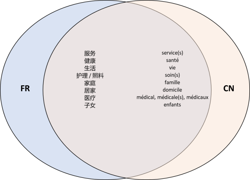 Figure 2. Mots fréquents présents simultanément dans la presse des deux pays identifiés à partir de notre corpus