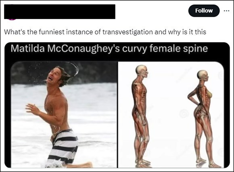 Example 17. Retrieved from X/Twitter.