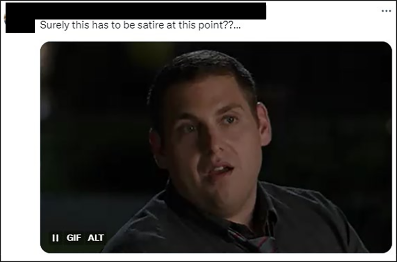 Example 19. Retrieved from X/Twitter.