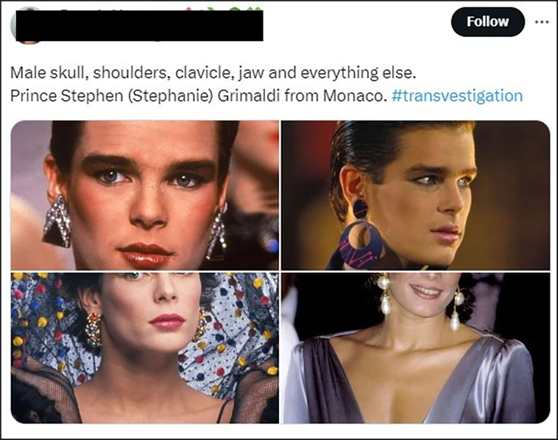 Example 3. Retrieved from X/Twitter.