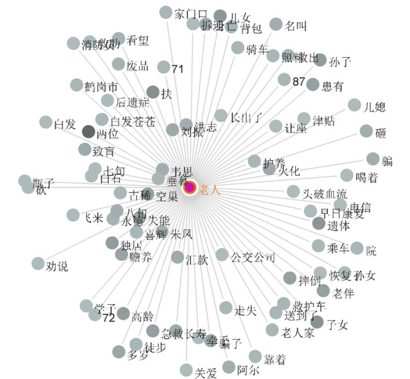 Figure 5 : Graphe de collocations au mot clé 老人 laoren du corpus 1 avant 2020 (LancsBox)