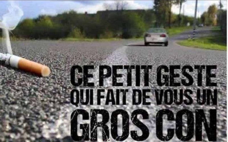 Figure 8 « Ce petit geste qui fait de vous un gros con »