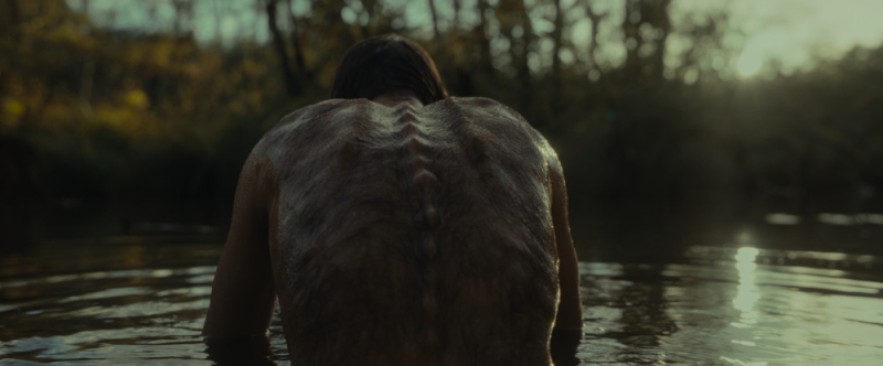 Figure 7. – Le Règne animal (Thomas Cailley, 2023), photogramme personnel.