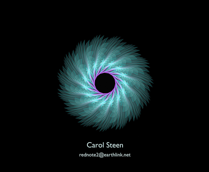 Figure 16. – Carol Steen email address.