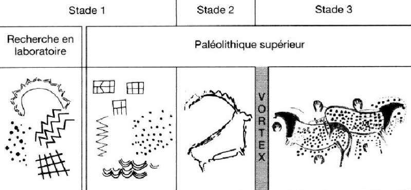 Figure 5. – Le modèle neuropsychologique.