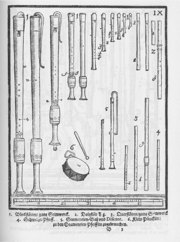 Figure : « Famille des flûtes à bec, Planche IX »