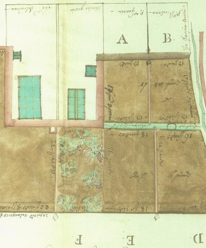 Ill. 9 : Ébauche de la diversité horticole (Franconville, 1780)