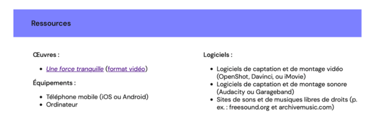 Figure 8. Section Ressources de l’activité Stories à l’école