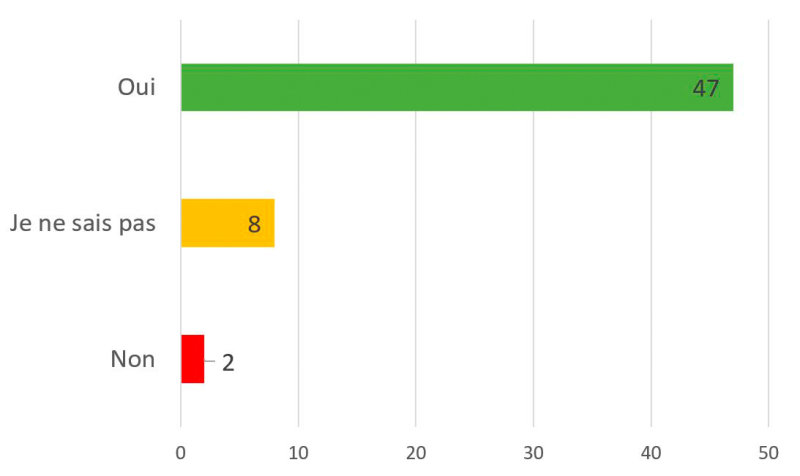 Figure 6. – Réponses à la question : « Will you carry one using the tools and apps that we used in class (conjugueur, Reverso dictionary) in the future? »