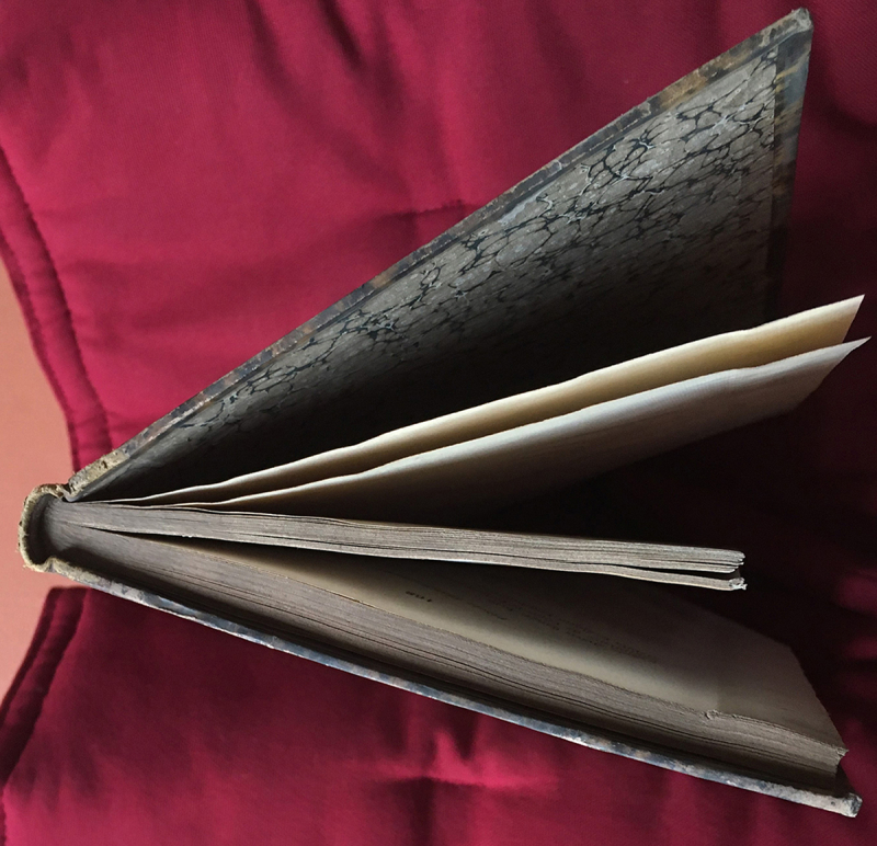 Fig. 2a.