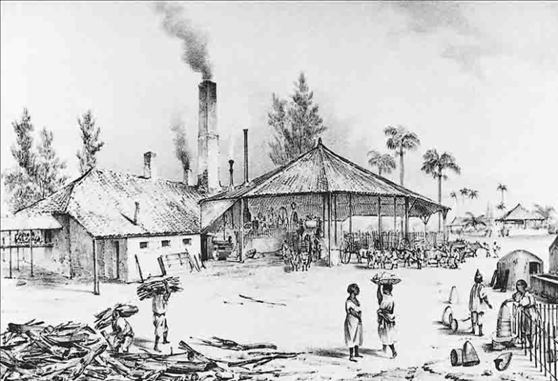 Illustration 1 : Frédéric MIALHE, “Trapiche de un ingenio durante la molienda”, Isla de Cuba Pintoresca (1839-1842).