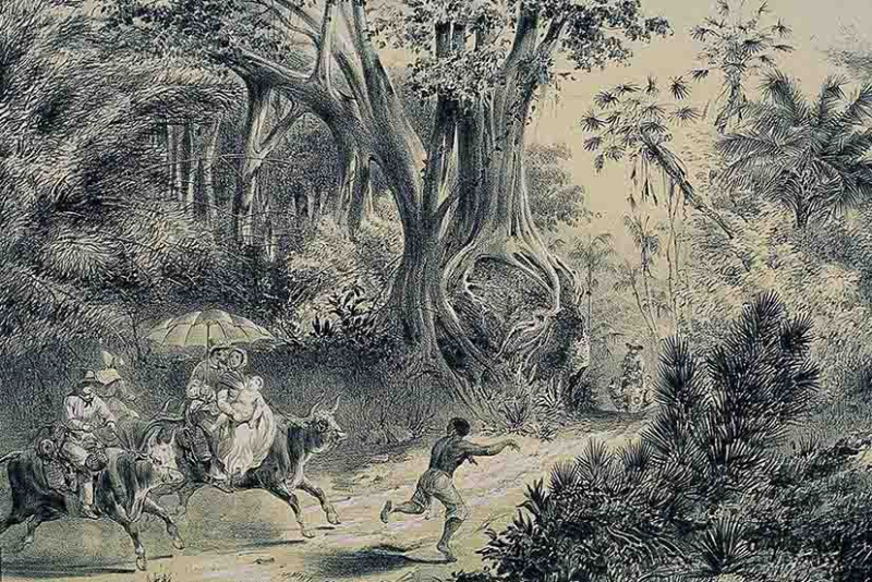 Illustration 2 : Frédéric MIALHE, “Cercanías de Baracoa y modo de viajar de sus naturales”, Viaje pintoresco al rededor de la Isla de Cuba (1847-1848).