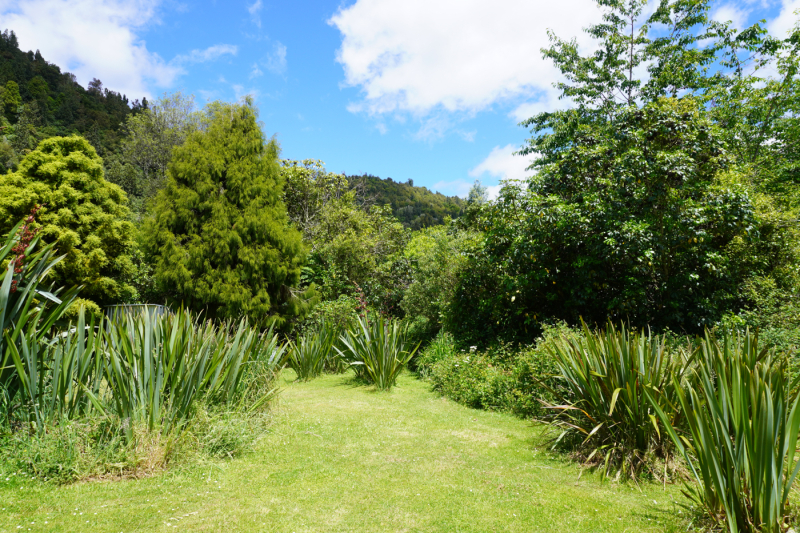 Figure 3. Jim and Cathy Schuster’s Pā Harakeke, Rotoiti, December 2024
