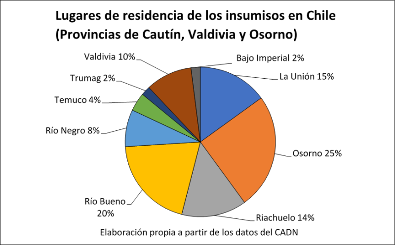 Gráfico 6