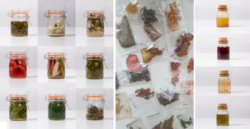 Fig. 2. Gwénaëlle Plédran, Expérimentations de saveurs fermentées (pots, fruits, légumes, herbes aromatiques), vues d’atelier, MEUH, 2018-2020.
