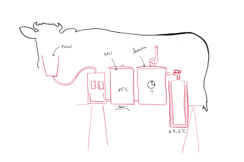 Fig. 4. Gwénaëlle Plédran, Modèle du fonctionnement digestif de la vache, dessin, MEUH, 2018-2020.