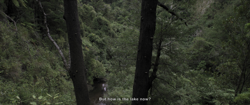 Étienne de France, The Green Vessel (vidéo still), HD vidéo, couleur et son 5.1, 53 min, 2019.